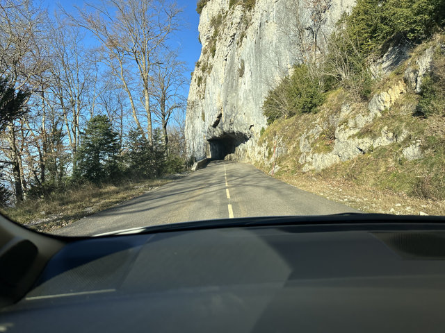 IMG_0410.jpeg