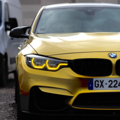 Bimmer_or_nothing