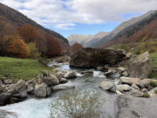 IMG_4624.jpeg