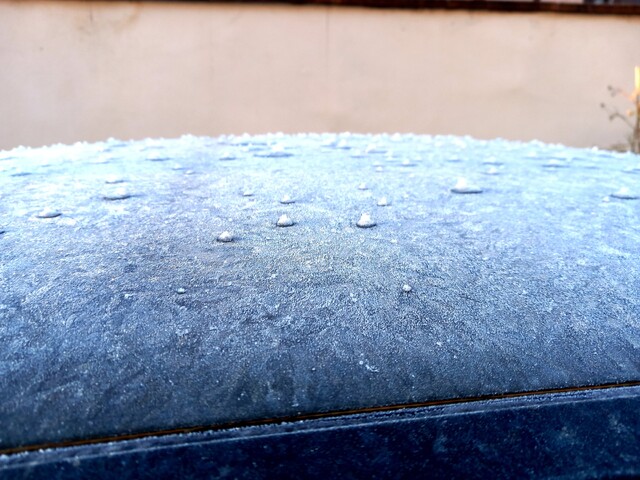 20250111_091012.jpg
