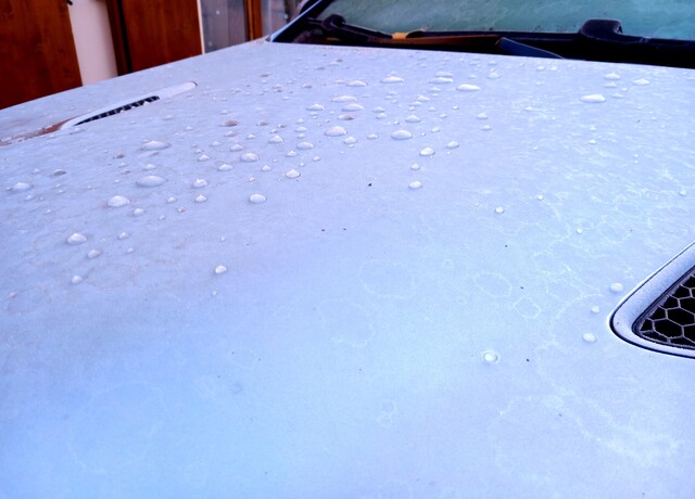 20250111_091044.jpg