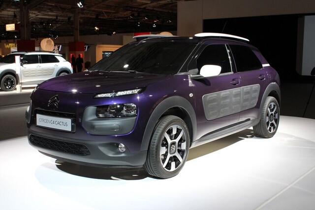 C4 cactus.jpg