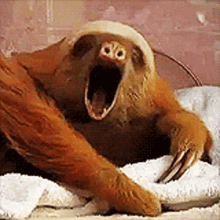 sweet-dreams-good-night.gif.88972f5f92b339240175420e9f288681.gif