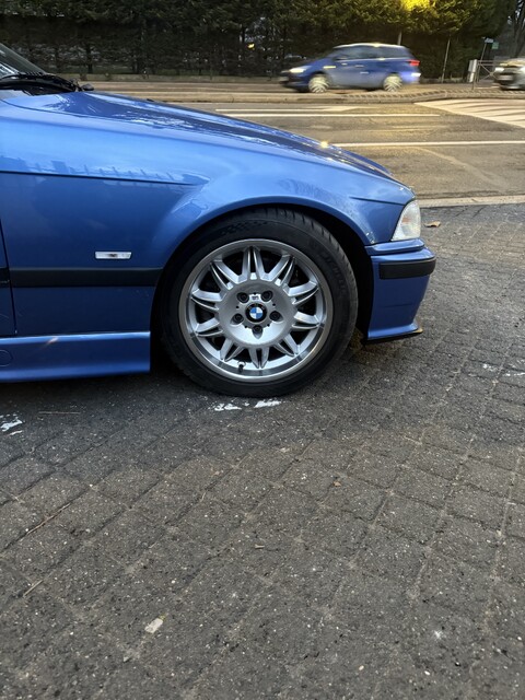 IMG_7957.jpeg