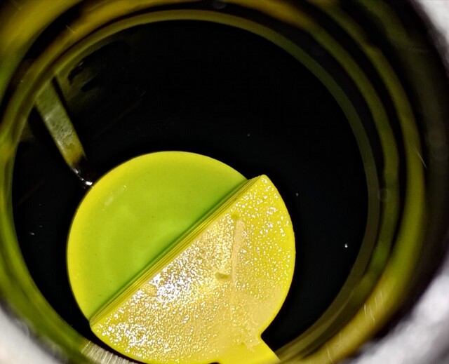 P_20250302_114034_1.jpg