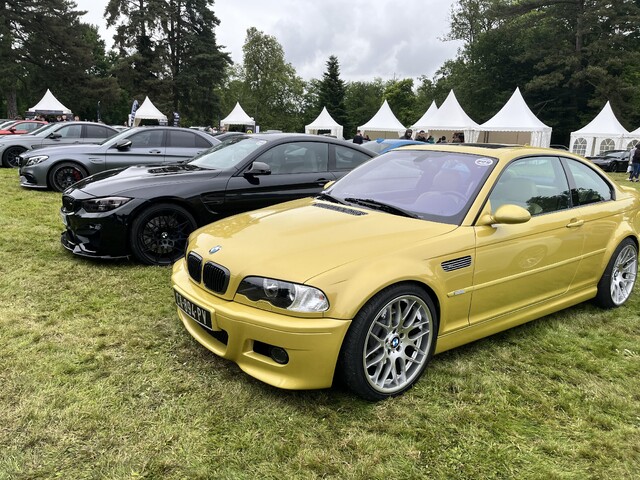 IMG_4371.jpeg