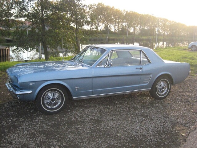 mustang.thumb.JPG.7ebbf6ce835ecab90b3c8dffd1ccb560.JPG