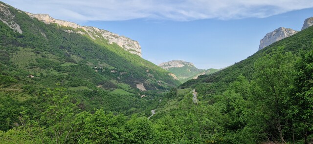 20250503_102133[1].jpg