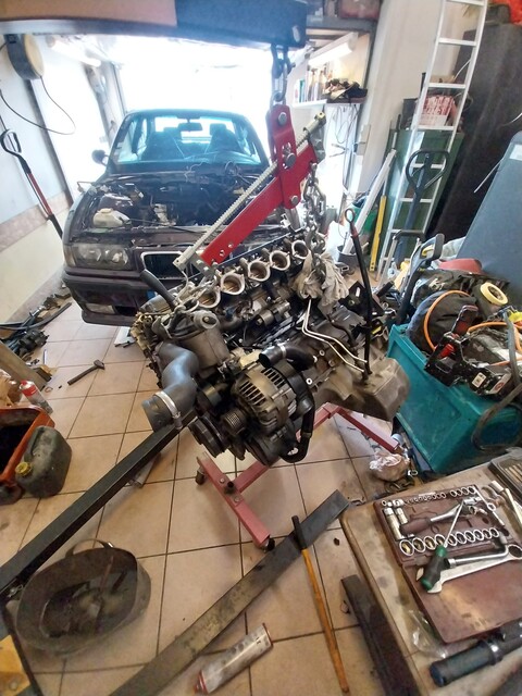 20250511_095855.jpg