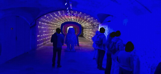 20250519_163339.jpg