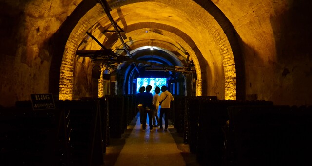 20250519_163823.jpg
