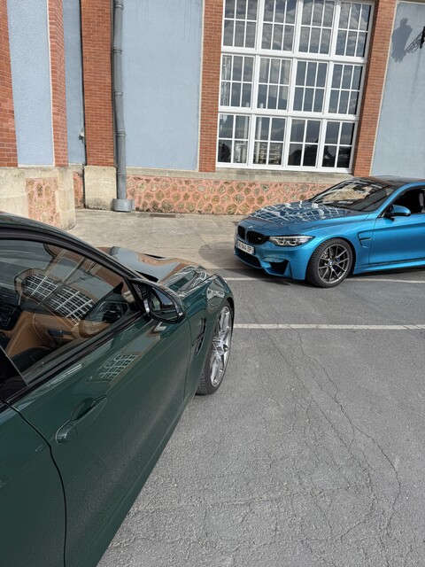 IMG_1775.thumb.jpeg.1bf45a5668d3c919499e3c229ea02abd.jpeg