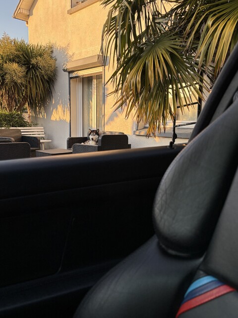 IMG_2709.jpeg