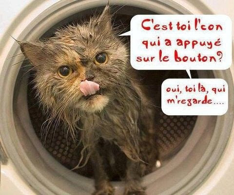 image.jpeg.432d8c5cc46682c06ea5119df7bd23ac.jpeg