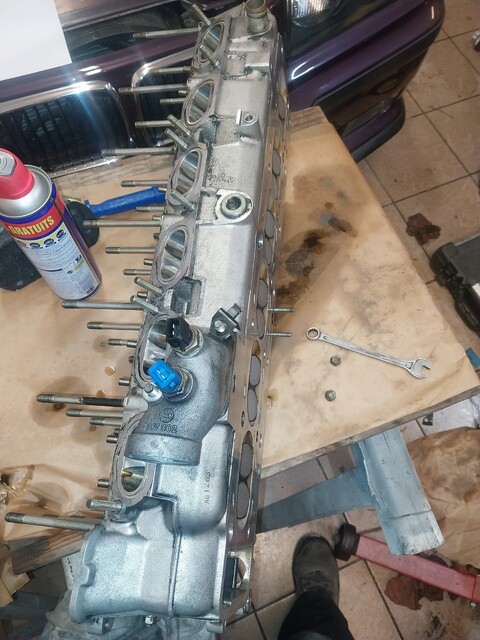 20250607_081735.jpg