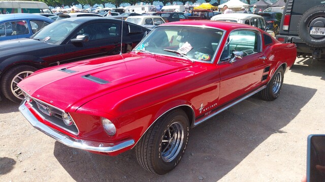 IMG-20250601-WA0031.jpeg