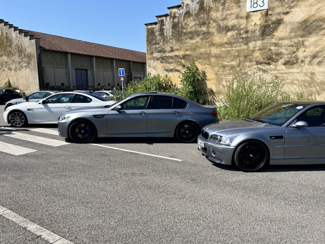 IMG_7110.jpeg