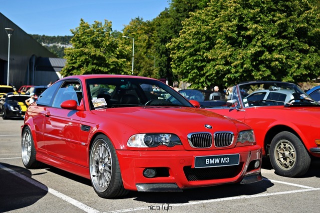 DSC_7355.JPG