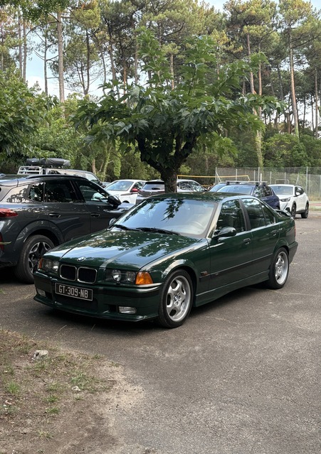 IMG_1504.jpeg
