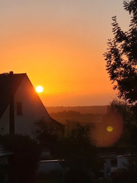 20250912_072224.jpg