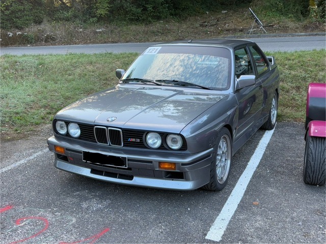 IMG_2495.jpeg