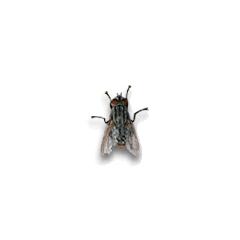 d85c5e699918e02d7c9931ef6065ba77.gif