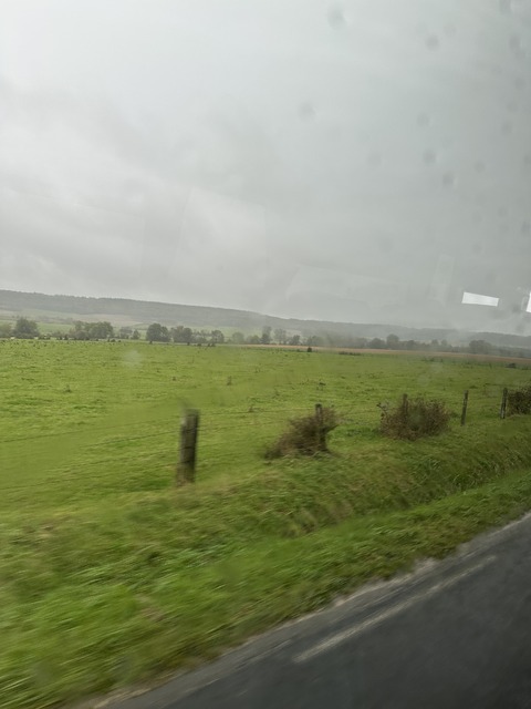 IMG_3555.jpeg