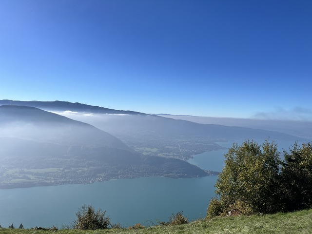 IMG_8151.jpeg