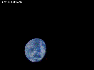 image.gif