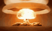 image.gif