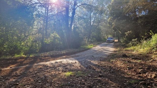 20251129_143808.jpg