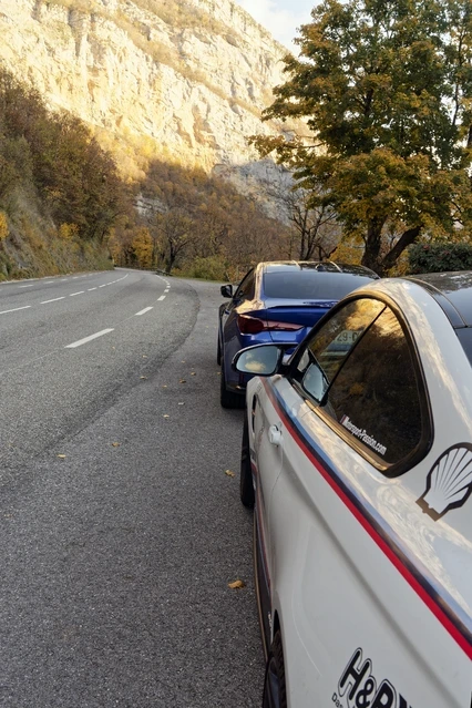 POL3897.webp