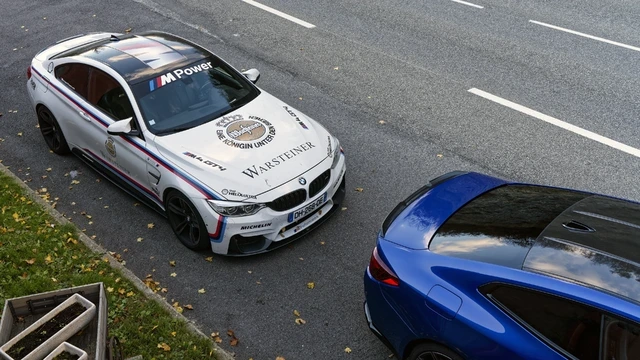 POL3906.webp