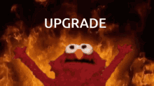 image.gif