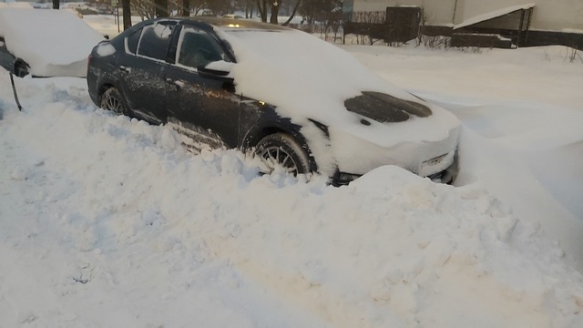 20221218_083807.jpg
