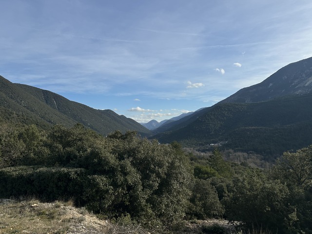 IMG_4534.jpeg