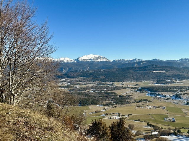 IMG_4559.jpeg