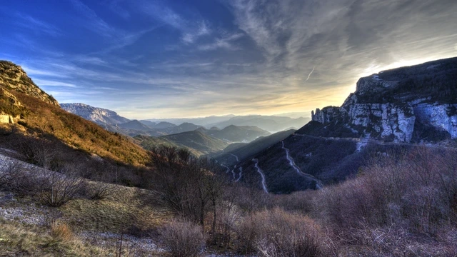 POL4443.webp