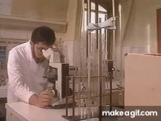 pck_KO.gif