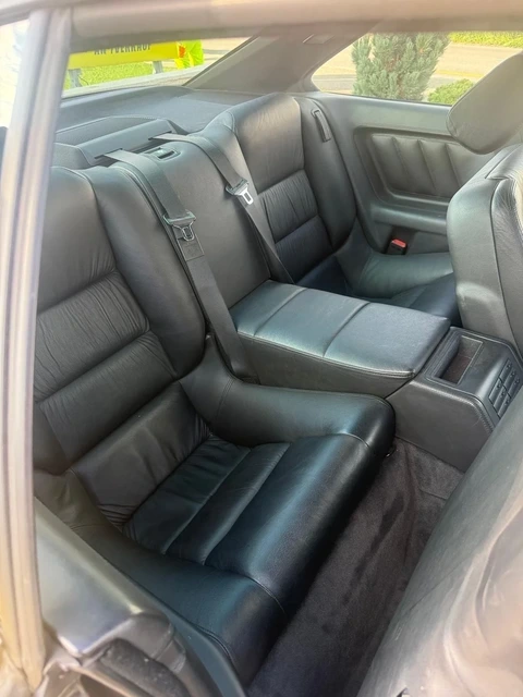 1989914111.JPG.webp