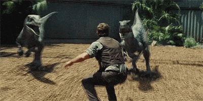 200 (1).gif