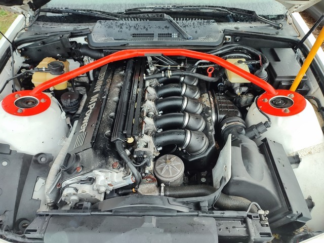 IMG_20260209_151608.jpg