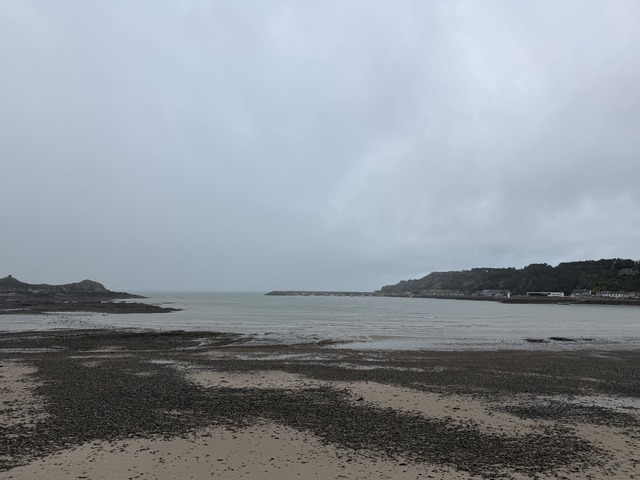 IMG_9169.jpeg