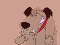 image.gif