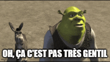 shrek-oh-ça-c'est-pas-très-gentil.gif