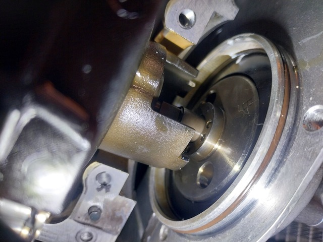 20260314_082419.jpg