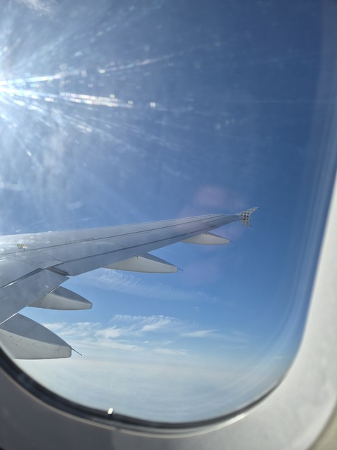 20260319_134209.jpg