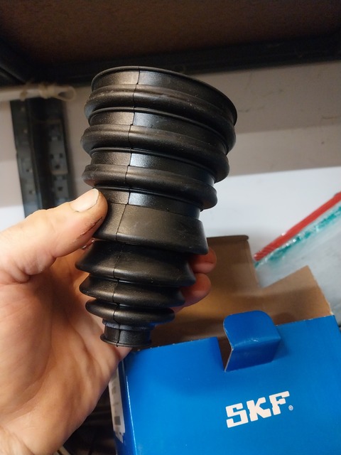 20260330_054713.jpg