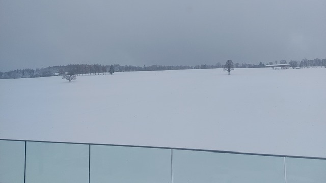 IMG-20260326-WA0001.jpeg