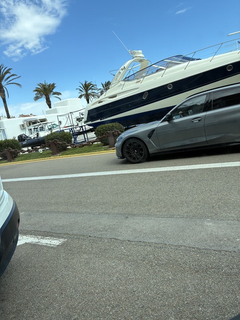 IMG_6768.jpeg